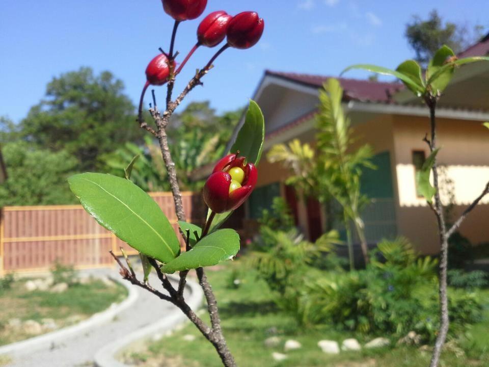 Villa De Mama Rawai Номер фото